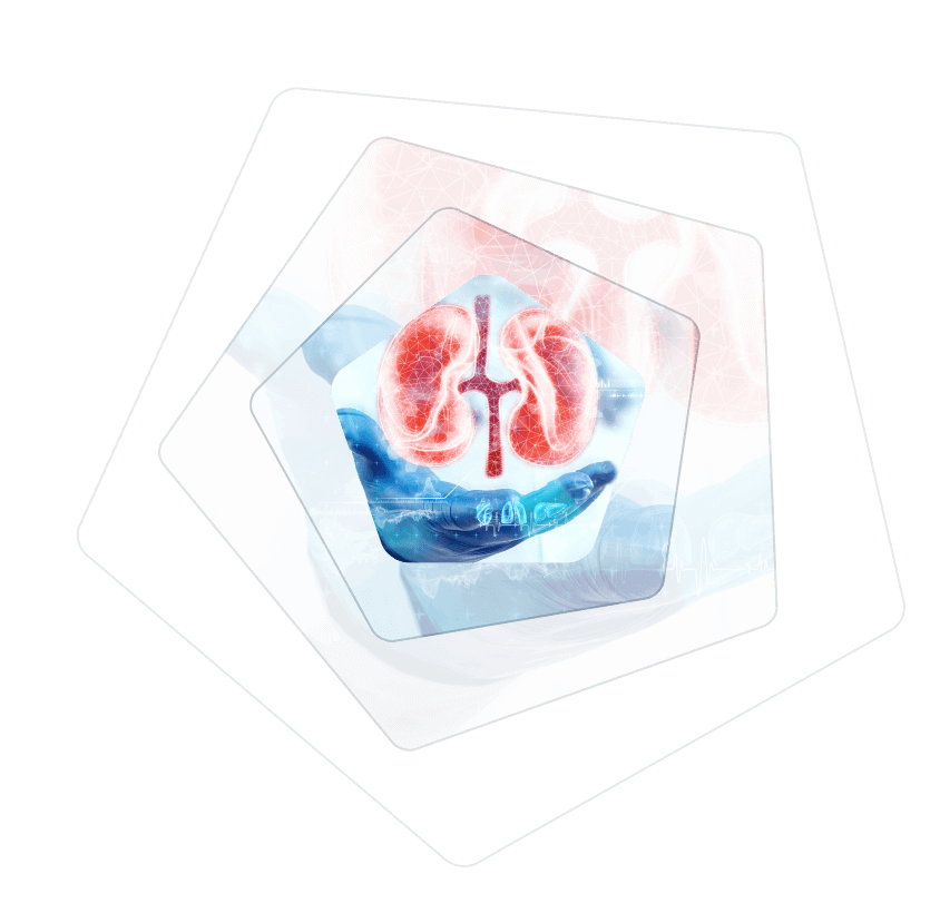 kidney