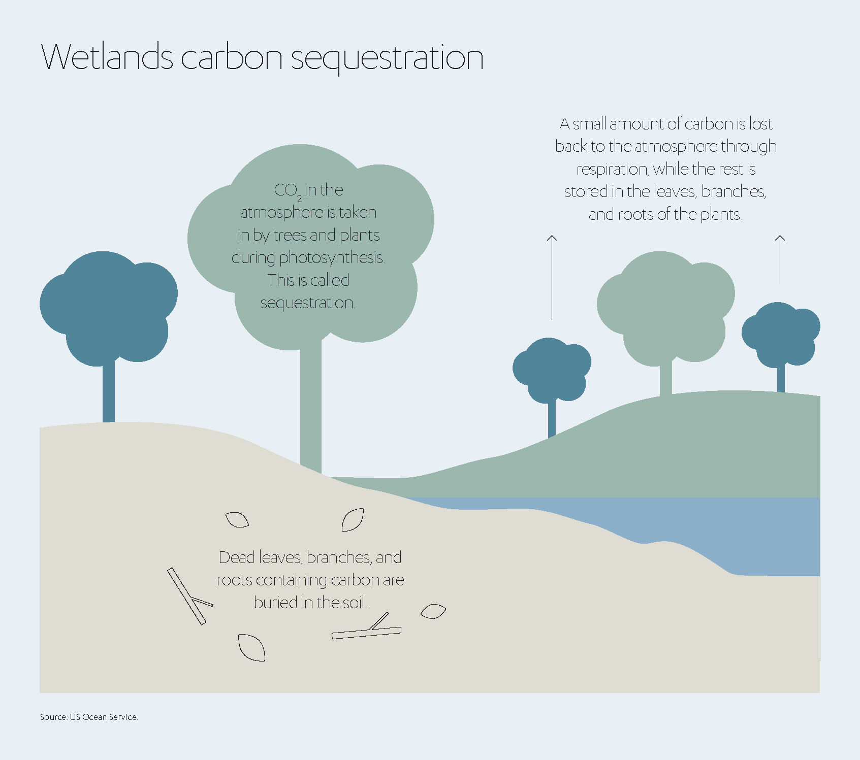 Wetlands Carbon Sequention