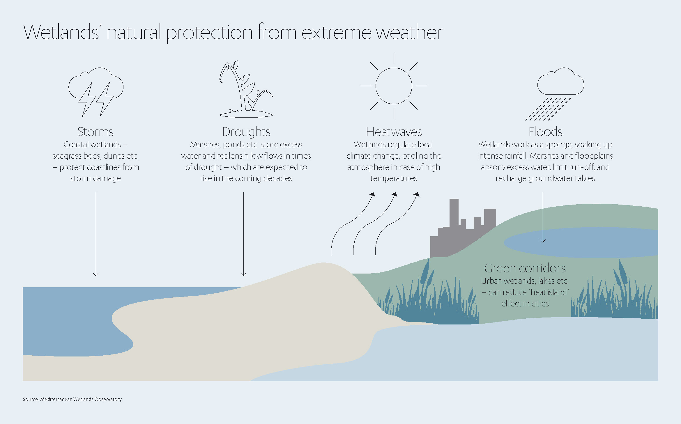 Wetlands natural protection