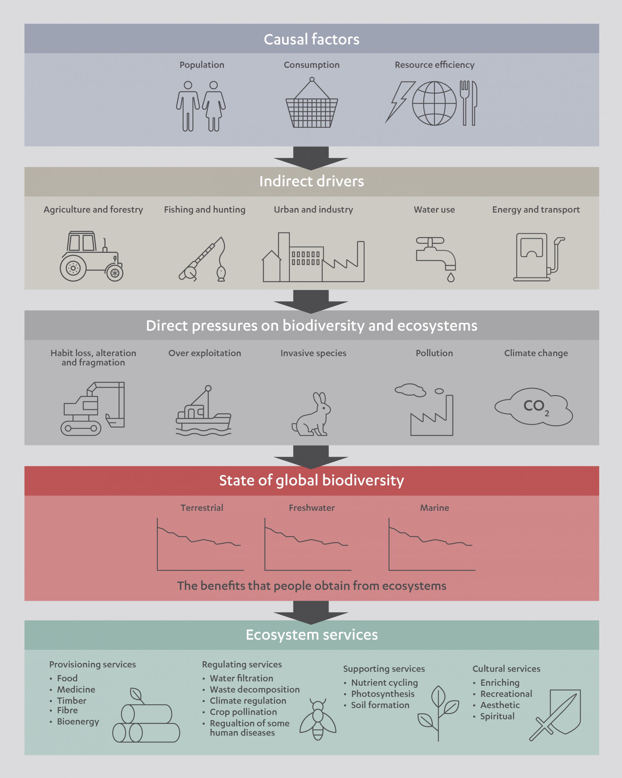 Food Loss Infographic
