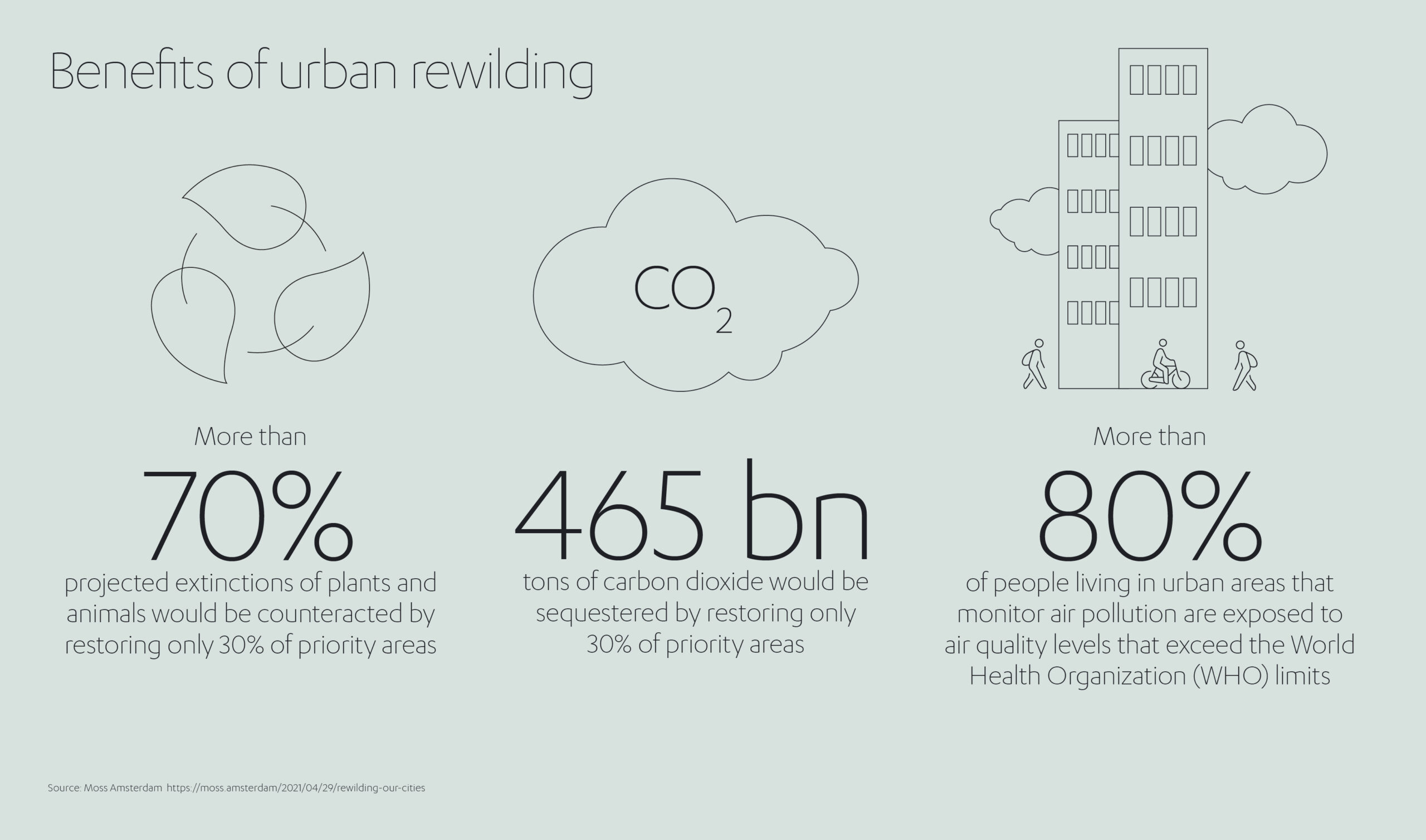 Benefits of Urban Rewilding