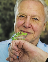 David Attenborough