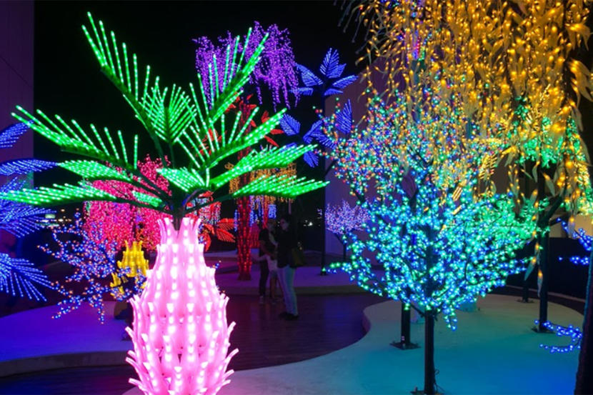 Dubai’s Jameel Arts Centre reopens with new solo exhibitions