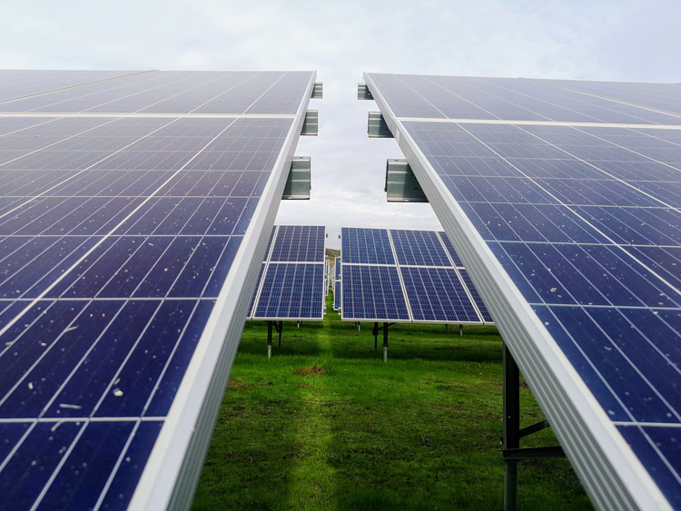 White and Blue Solar Panel