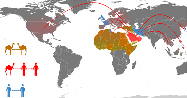 The spread of MERS-CoV between animals and humans across the globe. Image credit © WHO