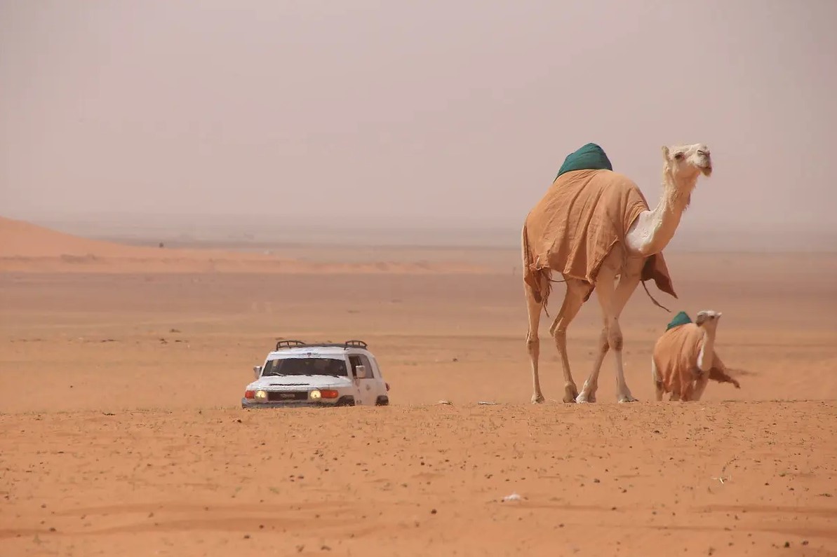 They Just Got Driver’s Licenses, and Now They’re Going Off-Road