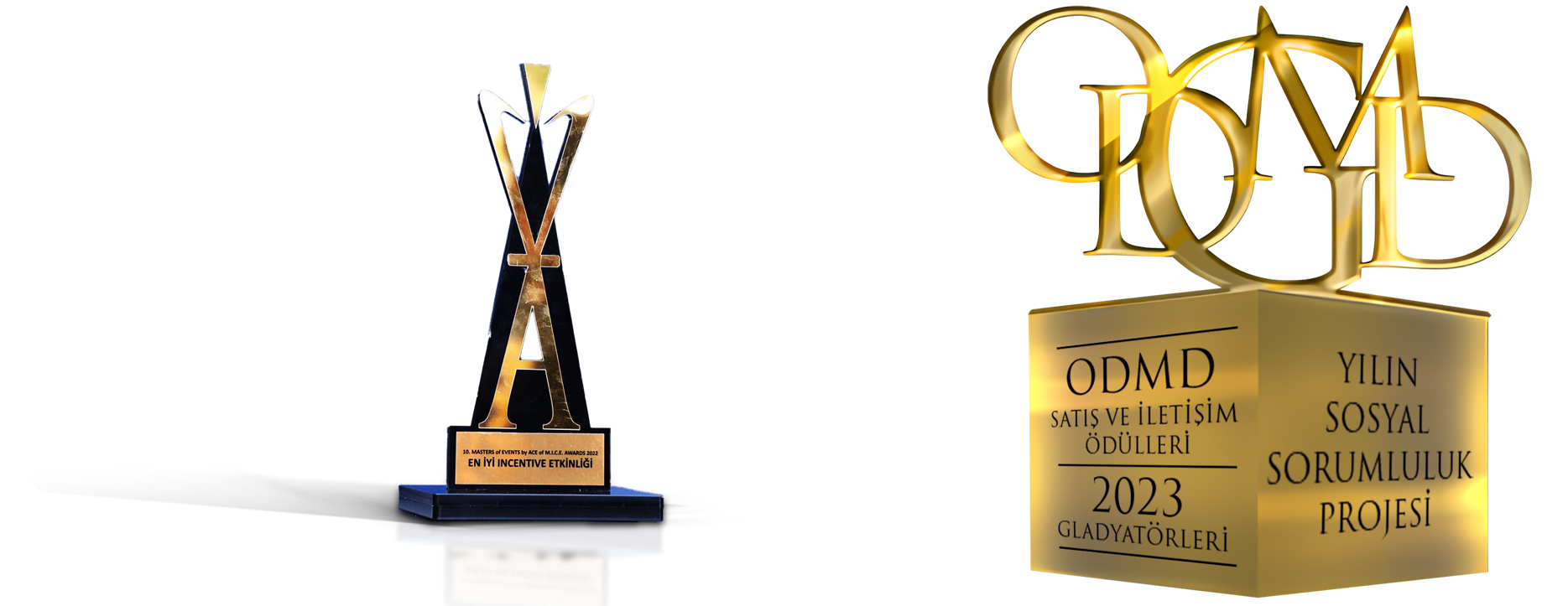 Toyota Turkey awards Jan 2024