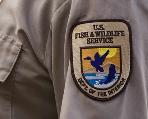 US Fish and Wildlife service