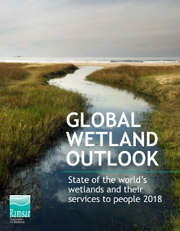 Global Wetlands outlook