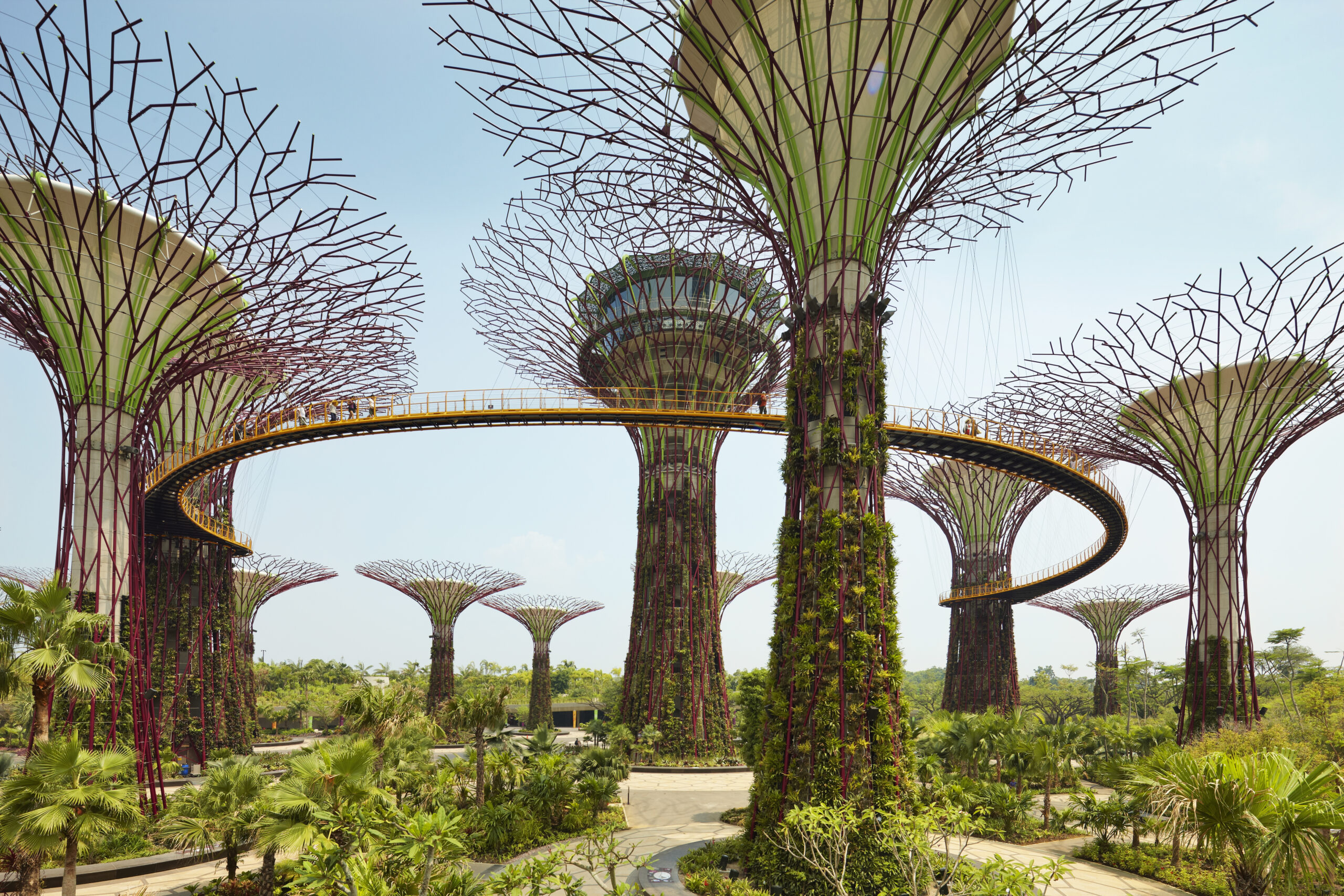 Liuzho Forest City