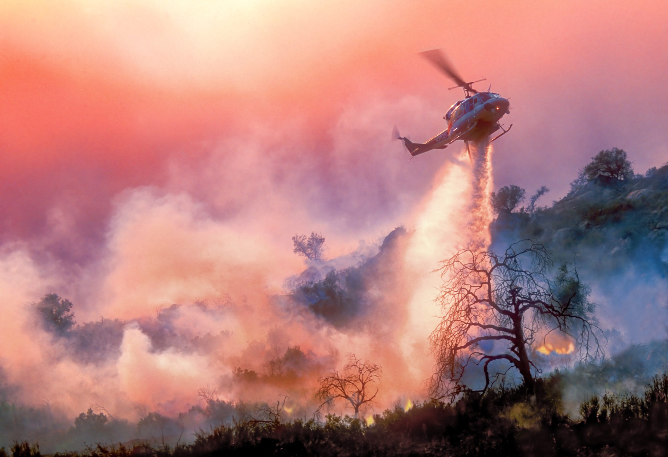 ¿Puede el agua convertirse en nuestra herramienta más poderosa para prevenir incendios forestales?